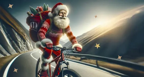 Bm Christmas Scelta 2024+Stelline